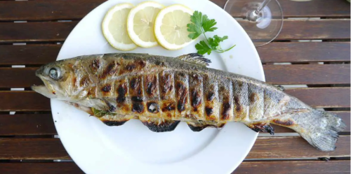 Fischturnier